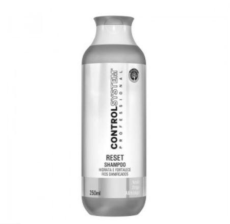 Reset Moringa Wheat Silk Moisturizing Treatment Shampoo 250ml - Control System