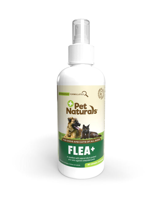 Pet Naturals Of Vermont Dog Protect Flea And Tick Spray 8 oz,