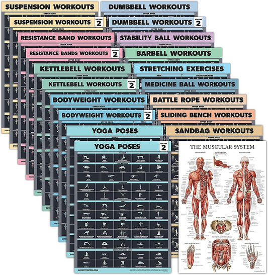 20 Pack - Exercise Poster Set: Dumbbell, Suspension, Battle Rope, Stretching, Bodyweight, Barbell, Yoga, Exercise Ball, Muscular, Kettlebell, Resistance Bands and More [Dark] (LAMINATED, 18” X 24”)