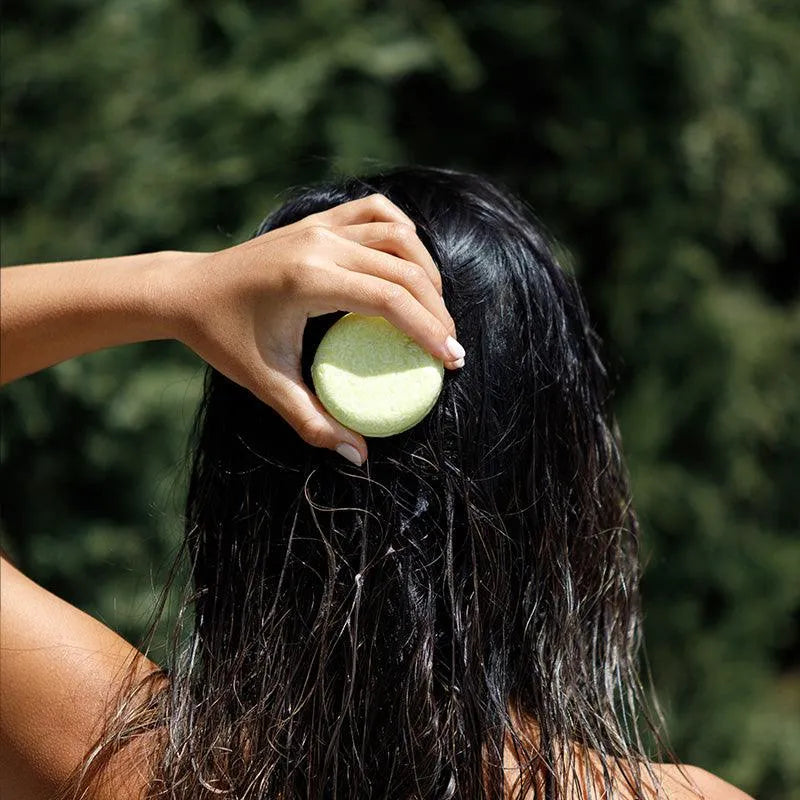 Coconut Free Shampoo Bar