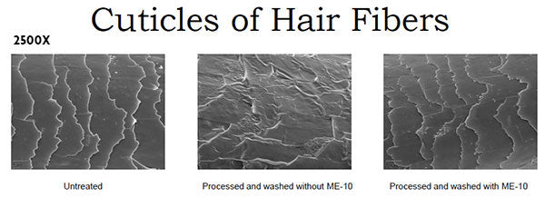 Color Protection Shampoo (vegan, cruelty free, sulfate free)