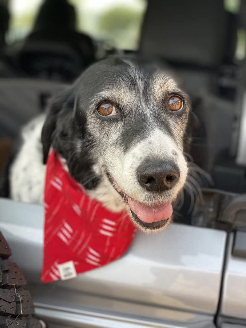 Dog Bandana by Sam & Nala, Handmade in Guatemala for Large, Medium and Small Dogs, Express Your Pup’S Personality with Double-Layered and Custom-Cut Bandanas, Washing Machine Safe (Hot Tamale, L)